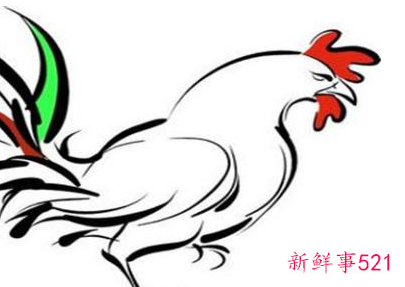 93年鸡女一生姻缘