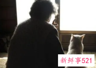 梦见已过世的奶奶又活了