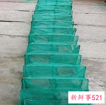 下雨天地笼会有收获吗