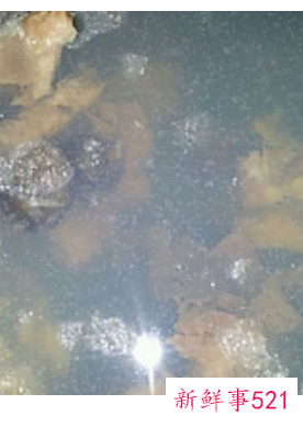 排骨田螺煲汤的做法