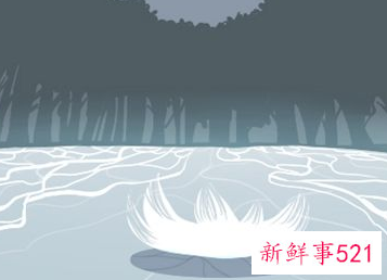 早上小鸟在窗户叫的征兆