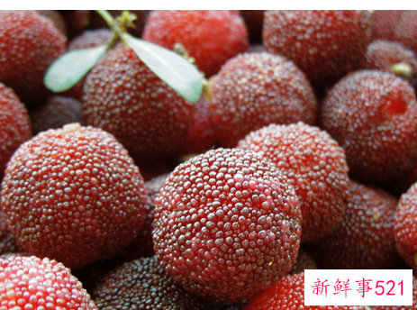 杨梅的营养和功效