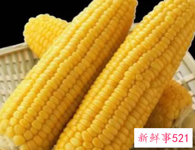 玉米没煮熟吃了会中毒吗