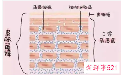 如何增厚皮肤角质层