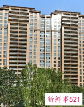 17楼不是一般人能住的