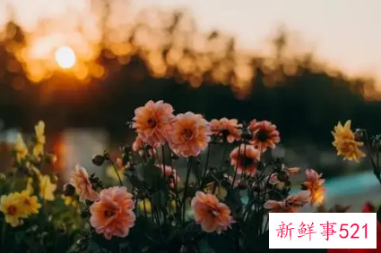 内心强大最高境界