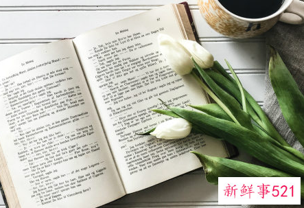 一年级小学生广播稿范文