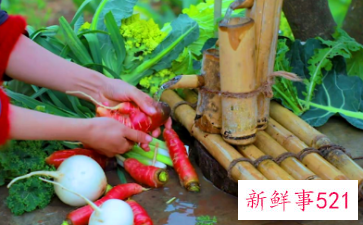 微念向子柒文化转让李子柒商标详细情况