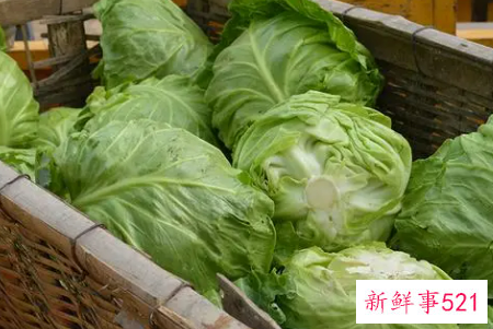 包莱怎么保存两个月