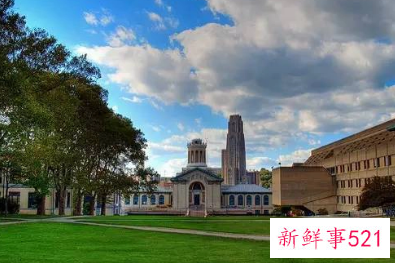 美高校强行大规模劝退留学生的原因