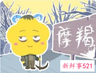 如何判断摩羯座女生对你是否真心