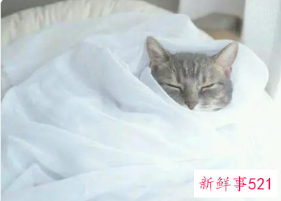 冬天早上怎样不赖床