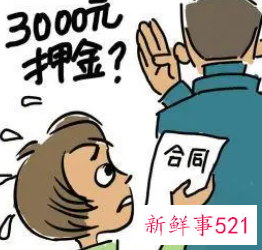 没签合同押金不退怎么办