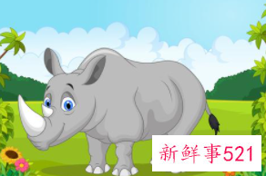 充满乐趣的童话故事请问你是犀牛吗