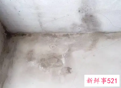 墙角有一块一直是湿的