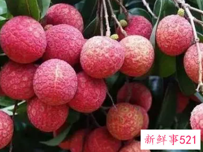 荔枝的营养成分有哪些