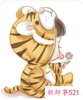 虎宝宝取名字好的字