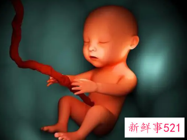 孕38周宝宝的样子