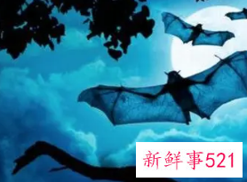 梦见被蝙蝠咬出血是什么意思