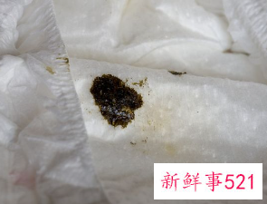 床上有皮蠹幼虫怎么清理