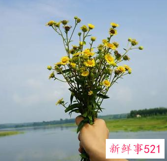 当一个人不爱你的表现是什么样子的