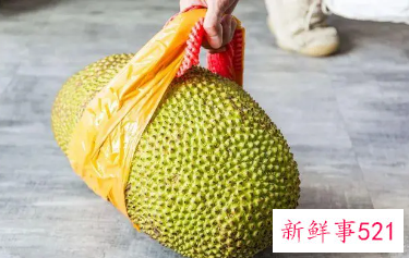 菠萝蜜一次性可以吃几颗