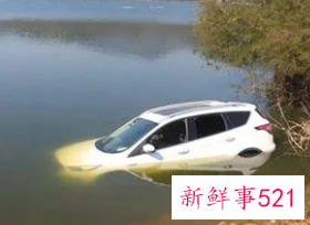 梦见开车掉水里寓意