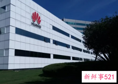 中国目前最有发展潜力的品牌