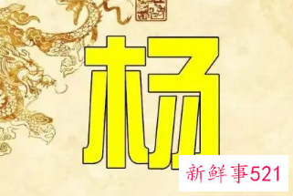 杨氏怎么取名字好听