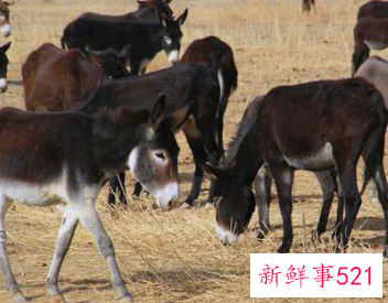 夫妻二人适合做什么创业