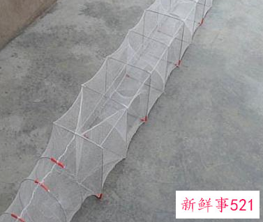 下雨天地笼会有收获吗