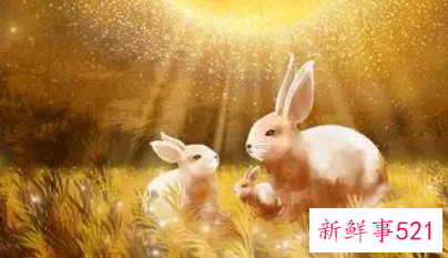 属兔事业上的贵人