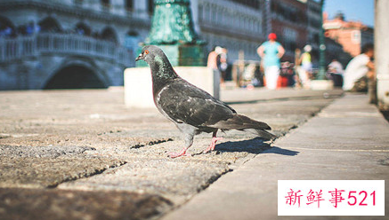 中年男人出轨离婚多久会后悔