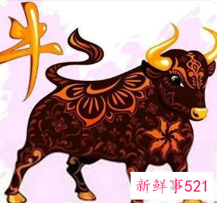 属牛女戴金首饰好吗