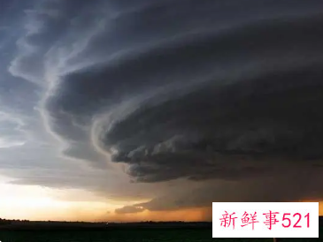 梦见旋风什么寓意