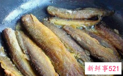 吃黄鳝好还是吃泥鳅好