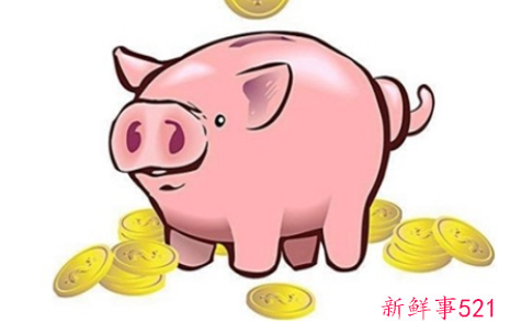 属猪的的运势怎么样