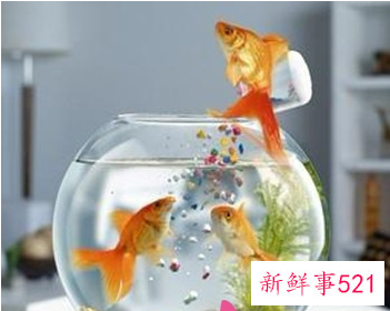 利用风水保护你的婚姻