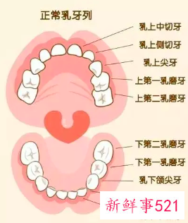 换牙期间要注意些什么