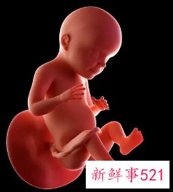 孕七个月一直动怎么回事