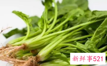 吃菠菜的危害