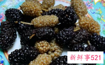 桑葚泡水喝的功效与副作用