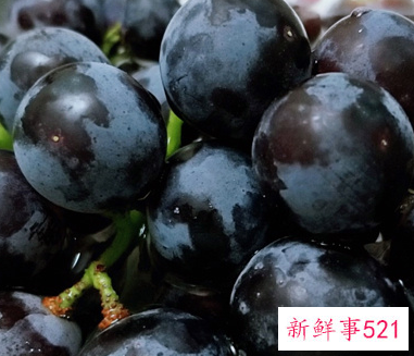 葡萄吃不完可以做什么