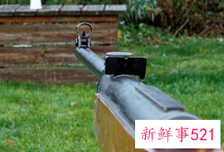 梦见抢夺敌人的枪是什么意思