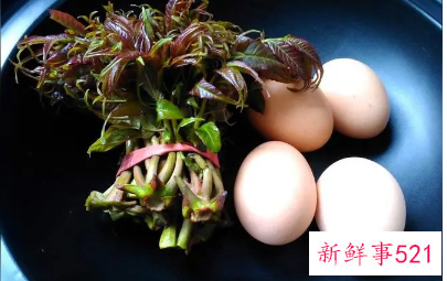 春芽不能和什么一起吃