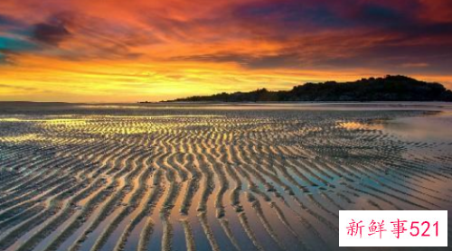 经典情感语录句句扎心