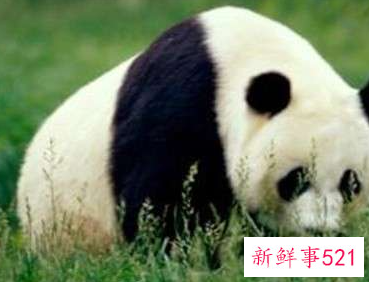 野生动物资源保护方法