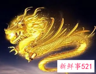 2000年属龙人一生的幸运数字