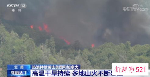 北美高温致海滩大量蛤蜊死亡