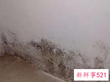 清理墙面的方法